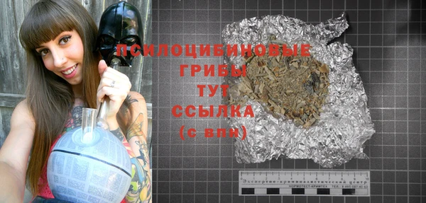 хмурый Абинск