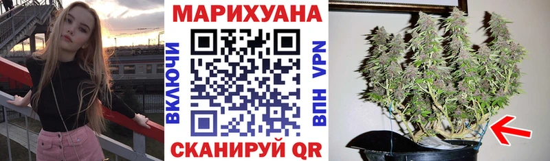 Каннабис конопля  где купить наркоту  Тетюши 